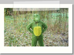 Crocodile vigilante