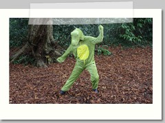 Crocodile boogie