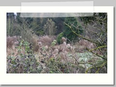 Depth of field