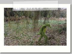 Weeping willow crocodile