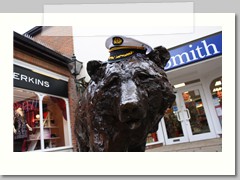 Sailor bear