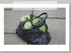 Crocodile skin bag