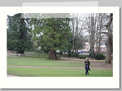 Alton Public Gardens