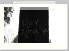 Pay Attention